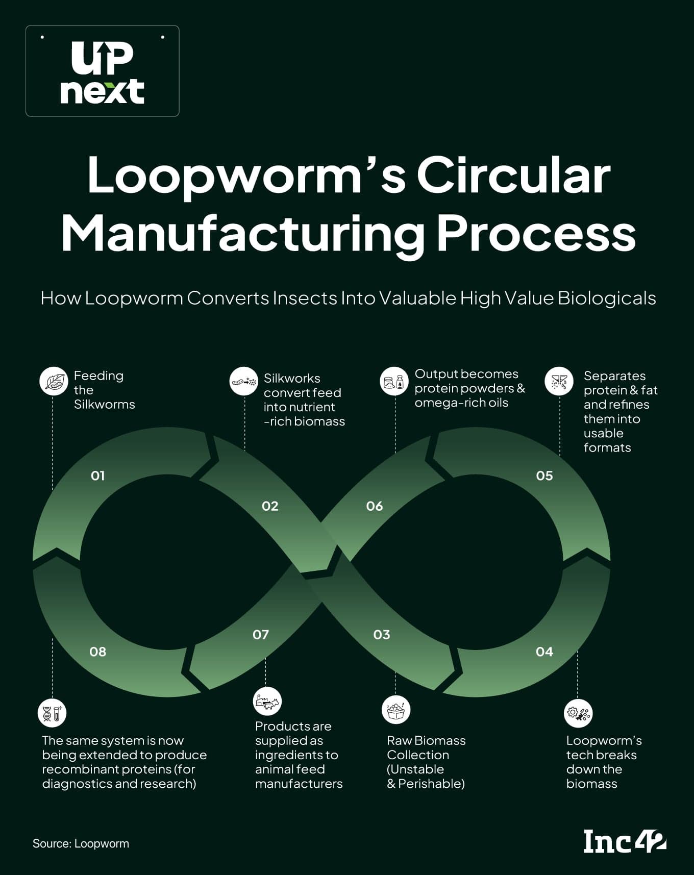 How Loopworm Is Turning Insects Into Protein For Feed And Pharma