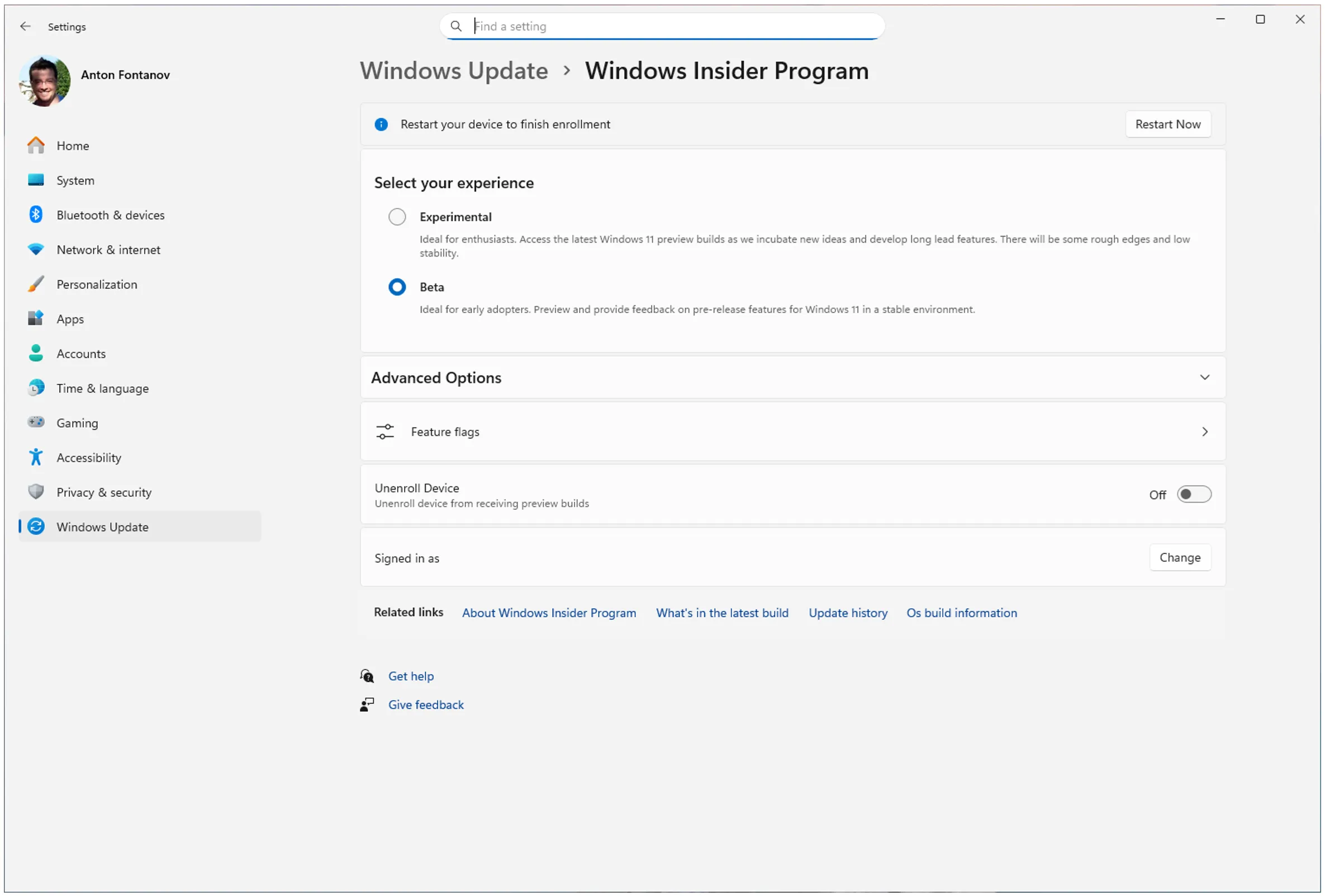 The Windows Insider choices have been simplified to Experimental or Beta.