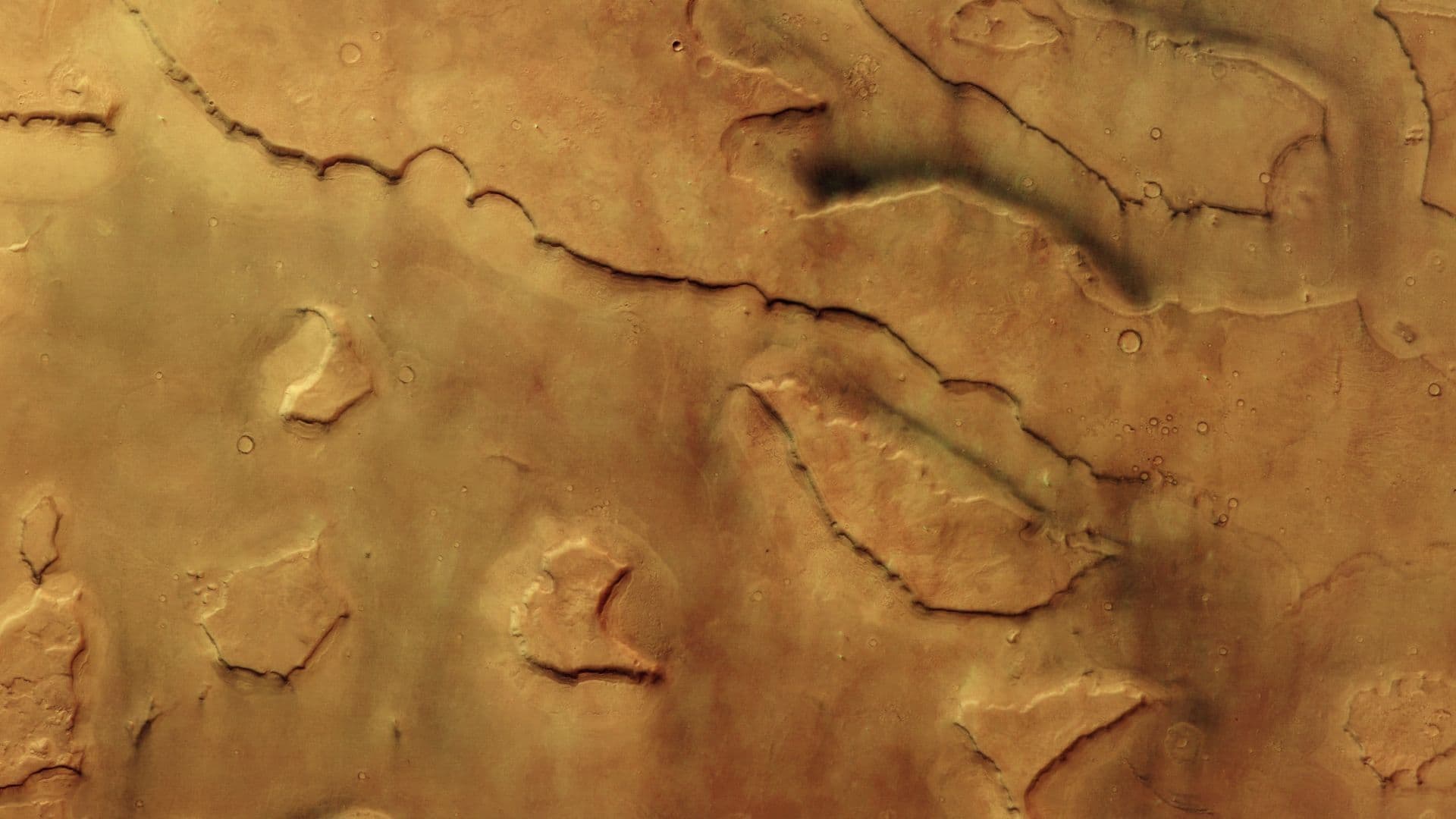 Mars Express captures 30 dust devils in single image