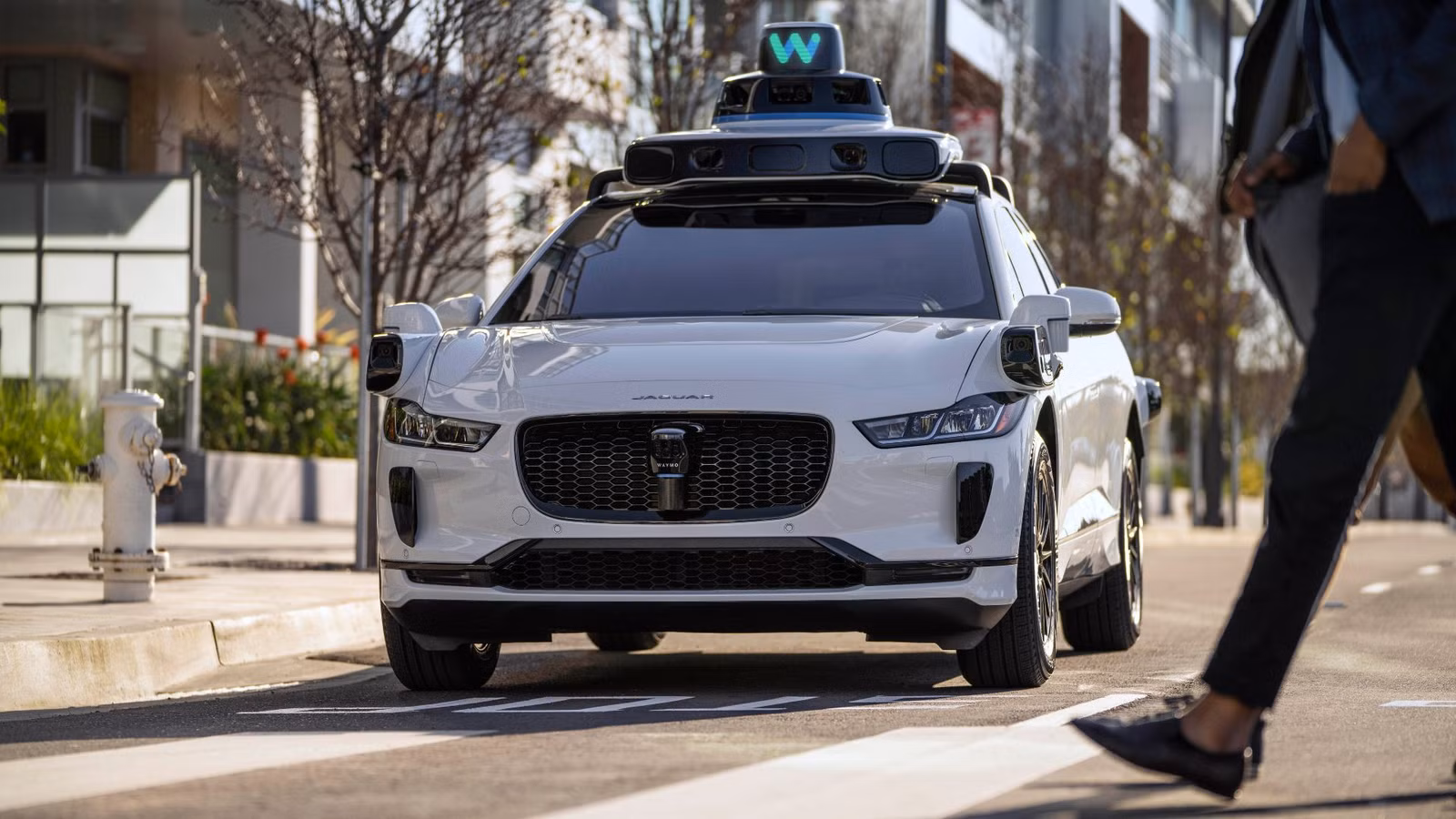 استدعاء 3,871 سيارة Waymo ذاتية القيادة بعد اختراق 13 منها مناطق أعمال الطرق السريعة