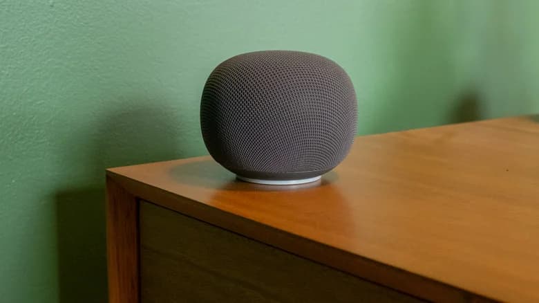 The new Google Home speaker.