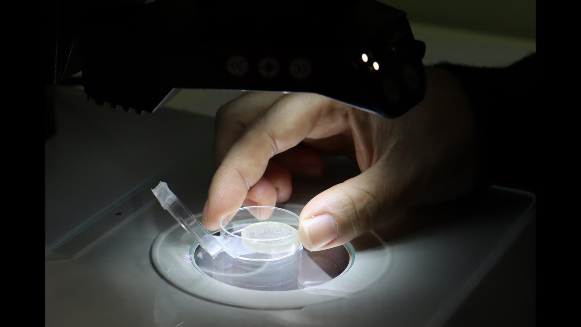 A photo of a hand holding a plastic case under a light with some clear material within.
