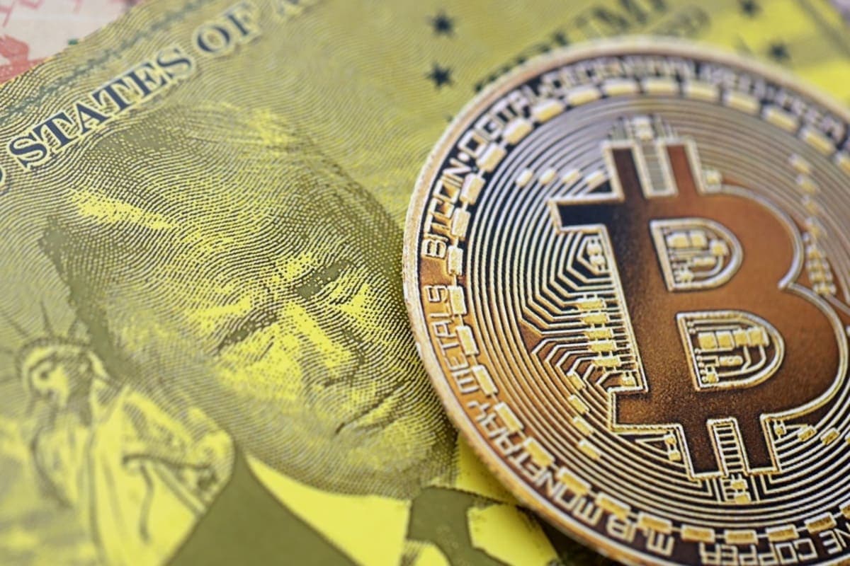 ترامب يحقق 800 مليون دولار من العملات الرقمية: كيف أصبح الكريبتو مصدر دخله الأول في 2025
