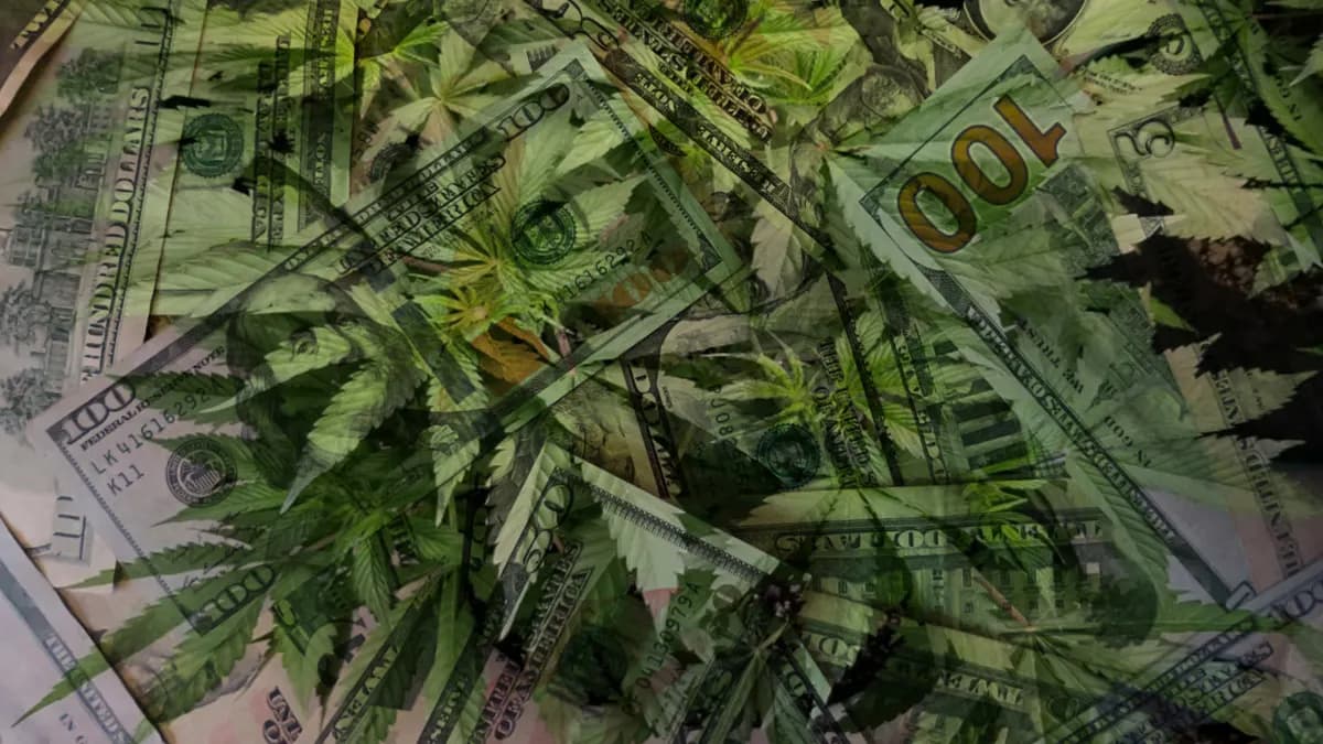 قانون SAFE Banking يعود إلى الكونغرس: هل تنتهي أزمة النقد في صناعة القنب الأمريكية؟