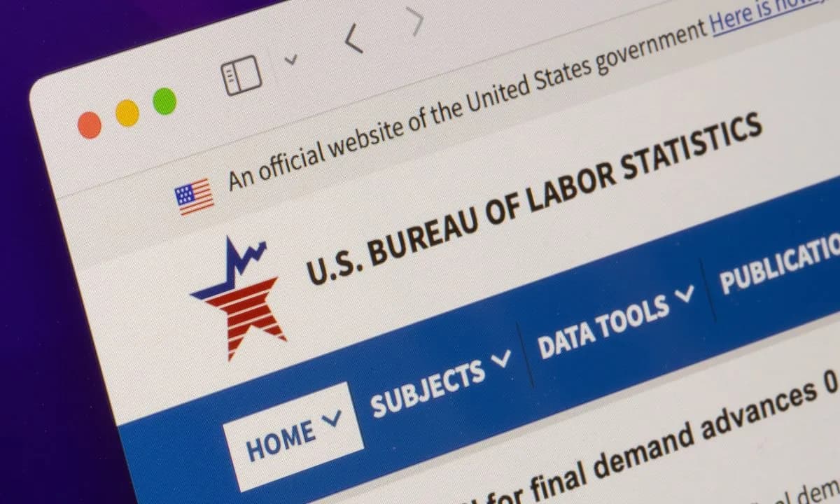 BLS tightens data security after 3 early releases in 2024