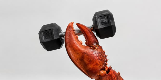Claw holding weight, representing the heavy funding rounds in AI