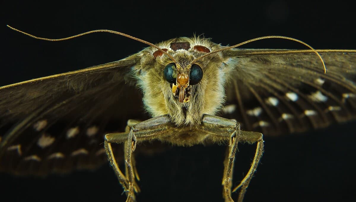 Microsoft patches 421 bugs, one already exploited by Lazarus