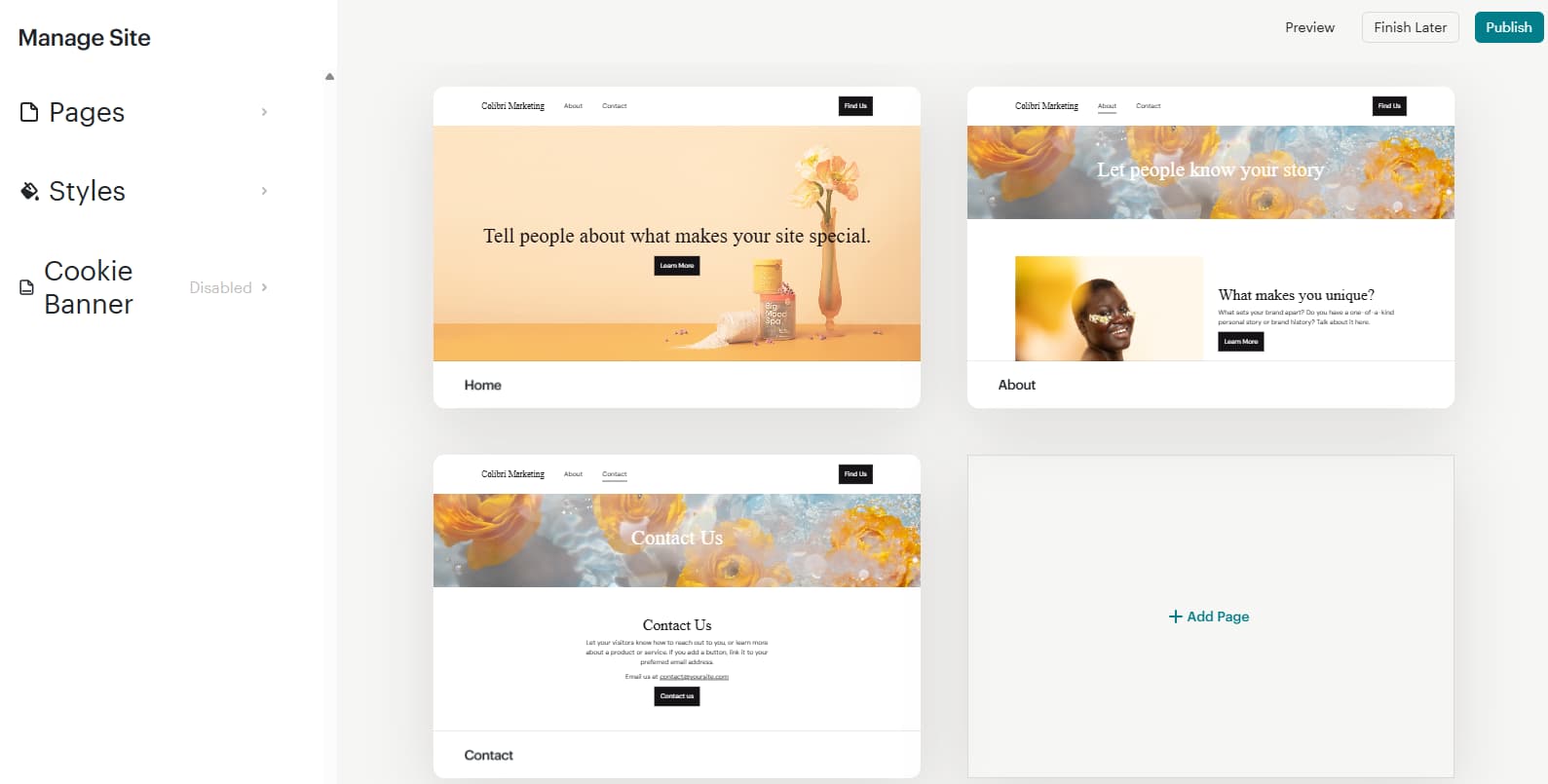 Mailchimp marketing channels overview showing ads, social, and email